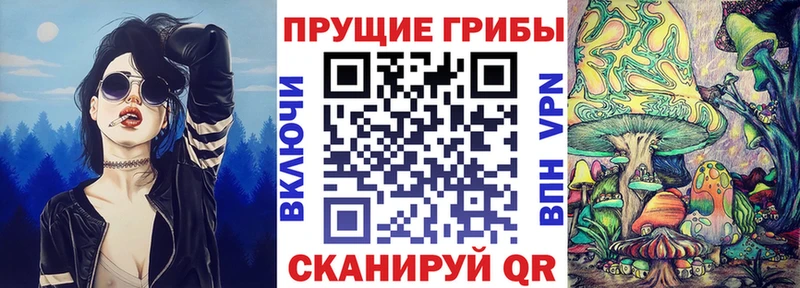 Галлюциногенные грибы MAGIC MUSHROOMS KRAKEN ссылки Свирск